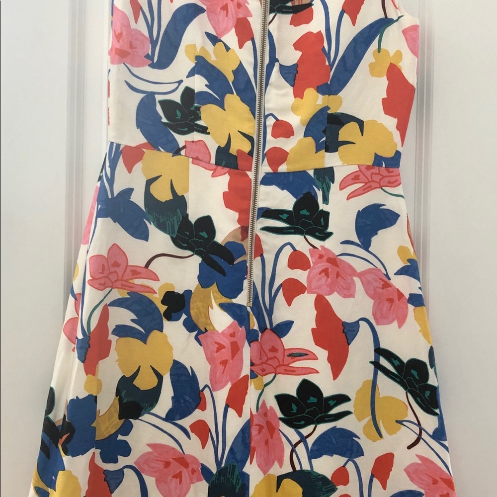 Jcrew Floral V-neck Dress